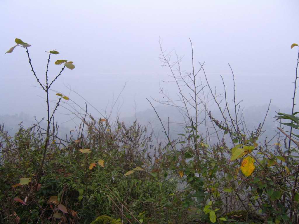 С img_0023.jpg
