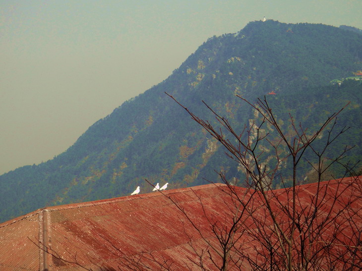 dsc01808.jpg