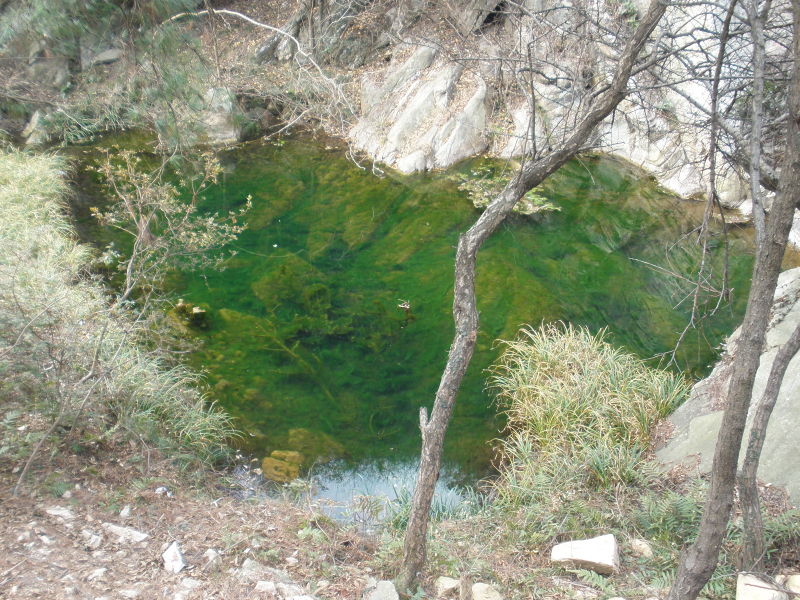 http_imgloadcaexnm5l.jpg