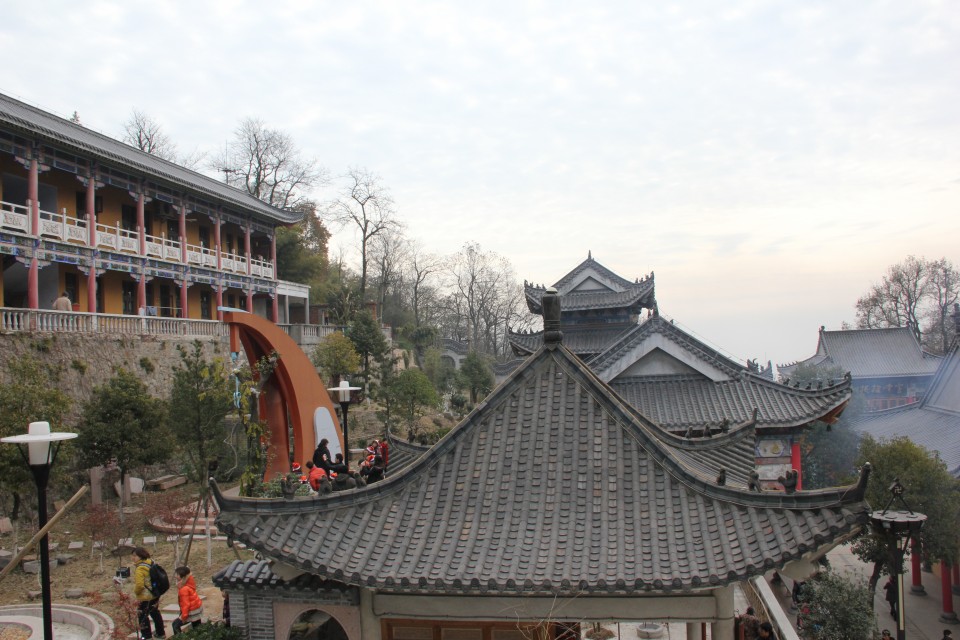 img_5653.jpg