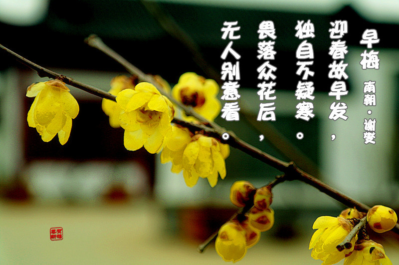 201112281217292177_.jpg