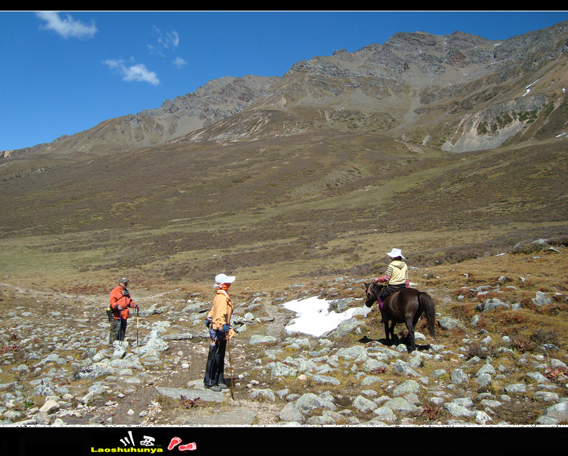 dsc09074.jpg