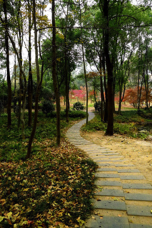 20111228055425616ĥɽ.jpg