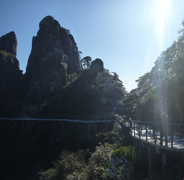 p1100123_.jpg