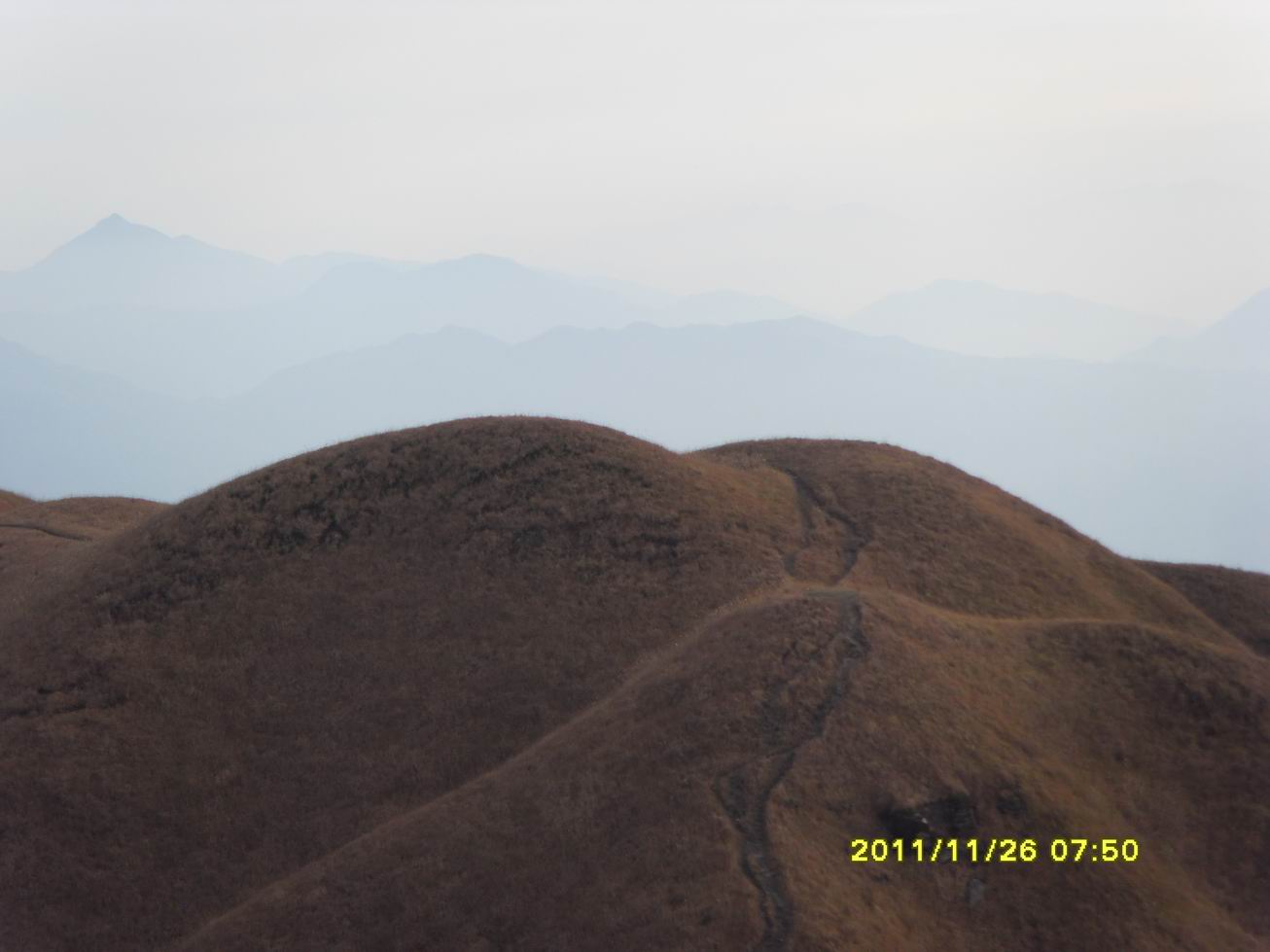 sdc10063.jpg