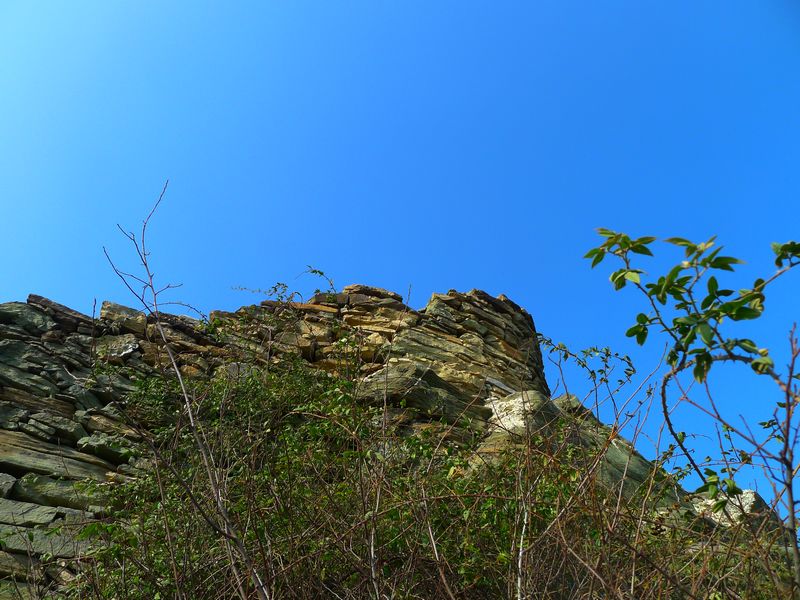 p1160596.jpg