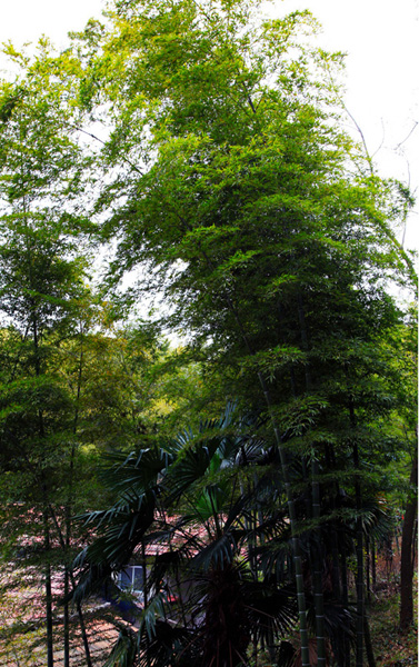 img_8787+1.jpg