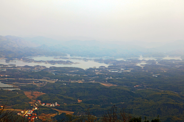 img_8826.jpg