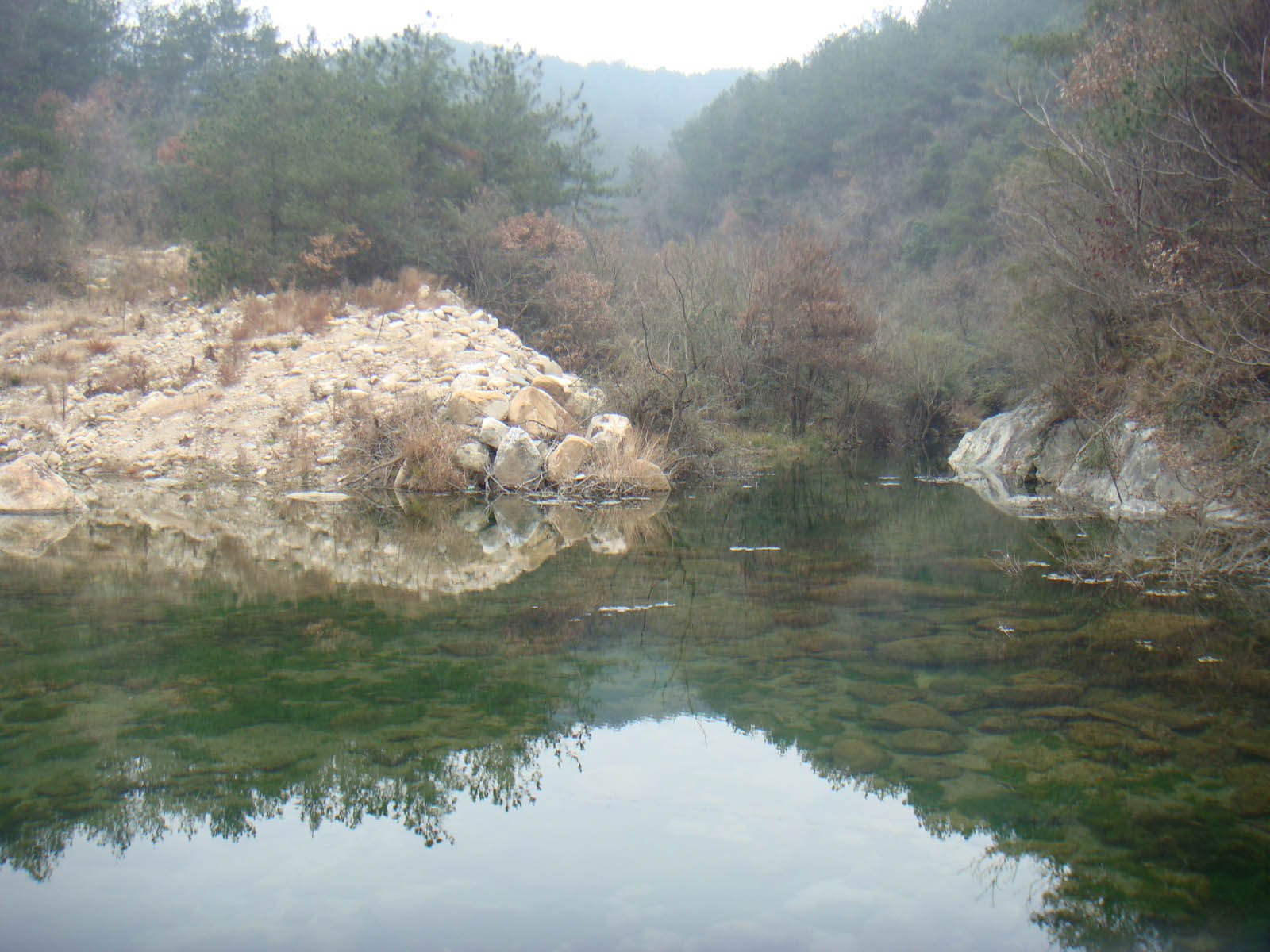 dsc05299.jpg