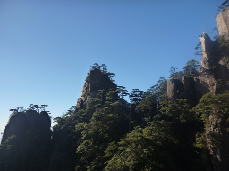 p1100185_.jpg