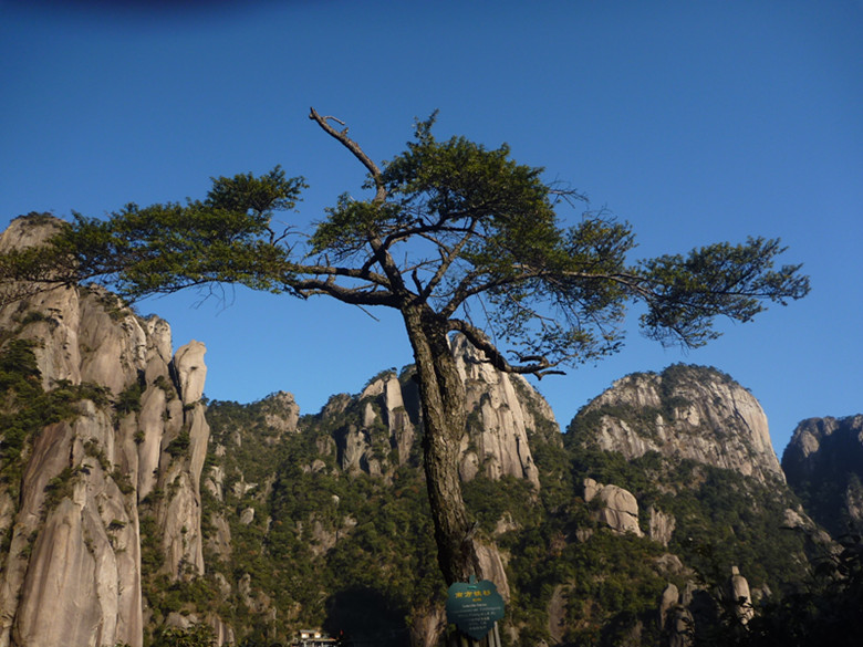 p1100213_.jpg