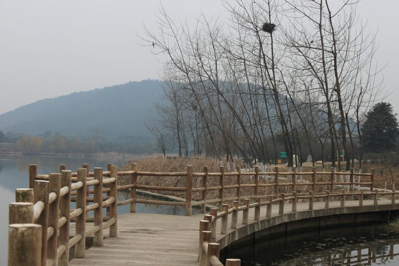 Ƭ 021.jpg