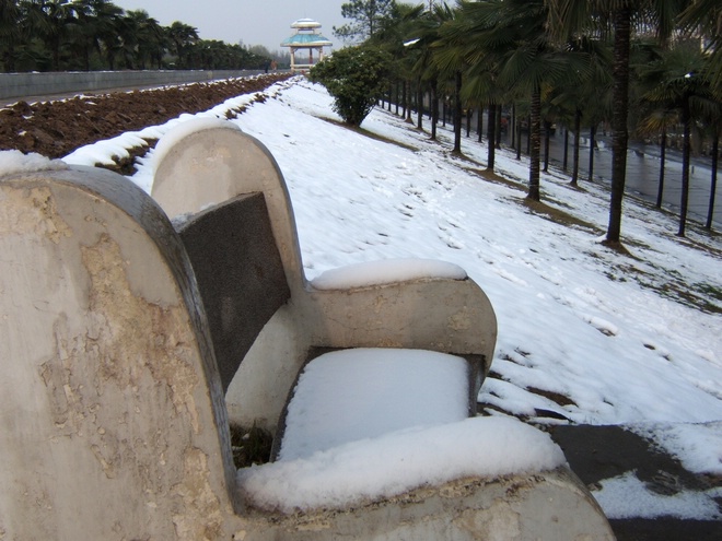 dscf7412.jpg