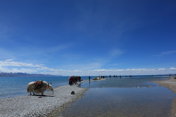 2011825916λ֮- 891.jpg
