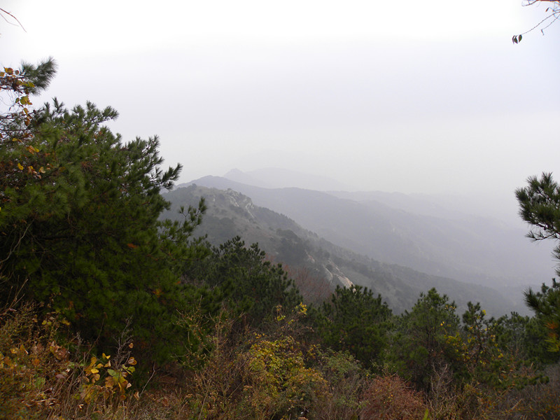 dscn6857_.jpg