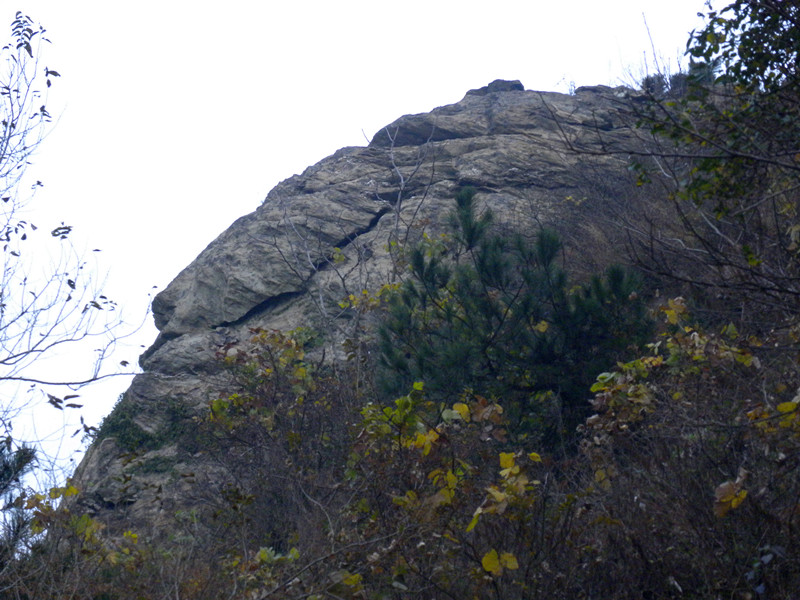 dscn6864_.jpg