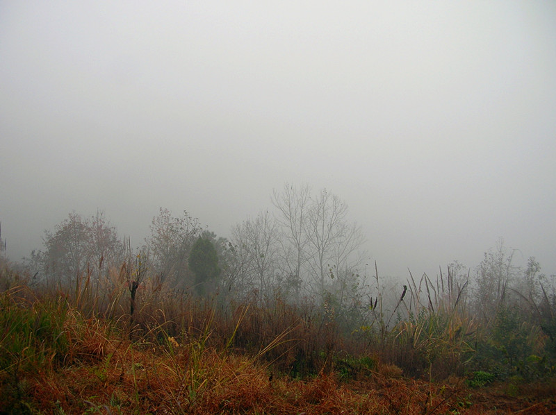 dscn3623_.jpg