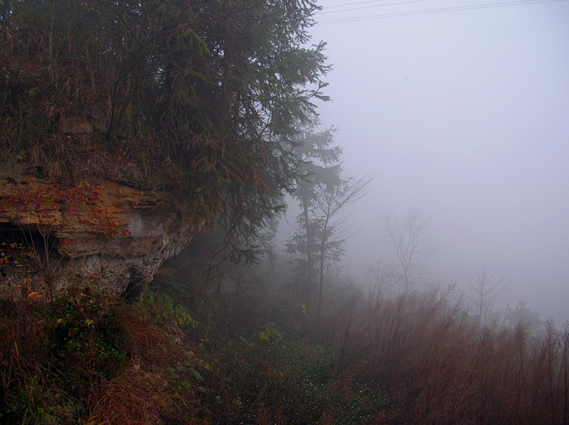 dscn3629_.jpg