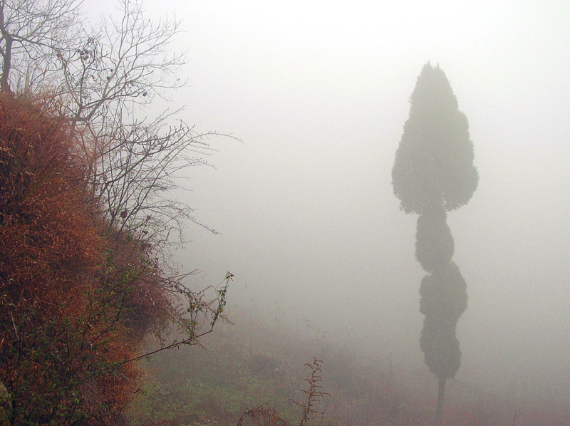 dscn3631_.jpg