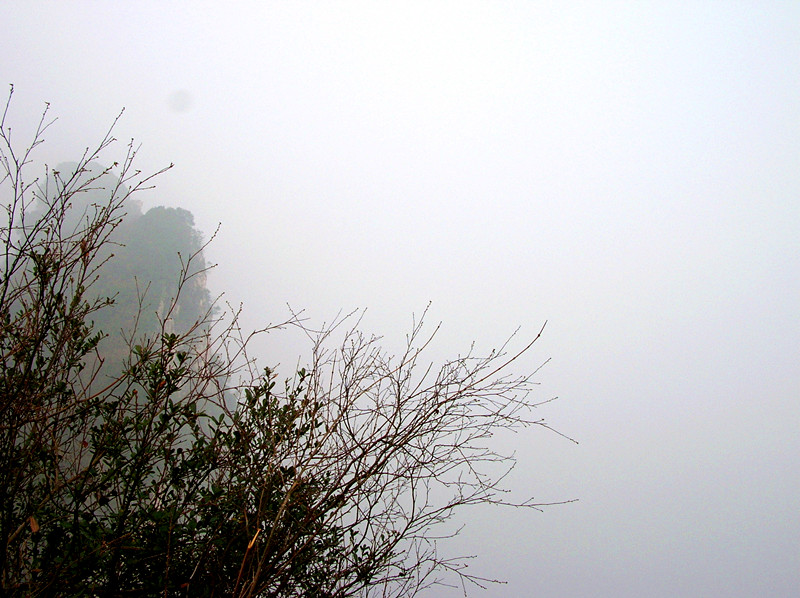 dscn3637_.jpg