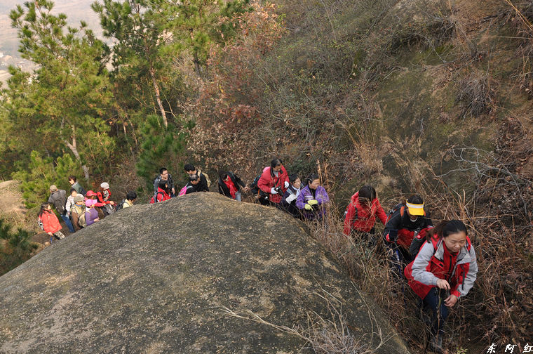 dsc_3122.jpg