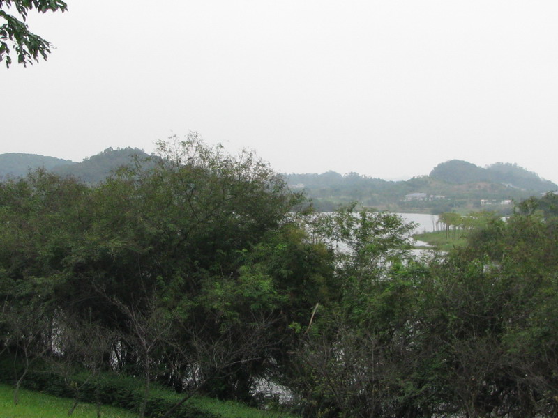 img_1778_С.jpg