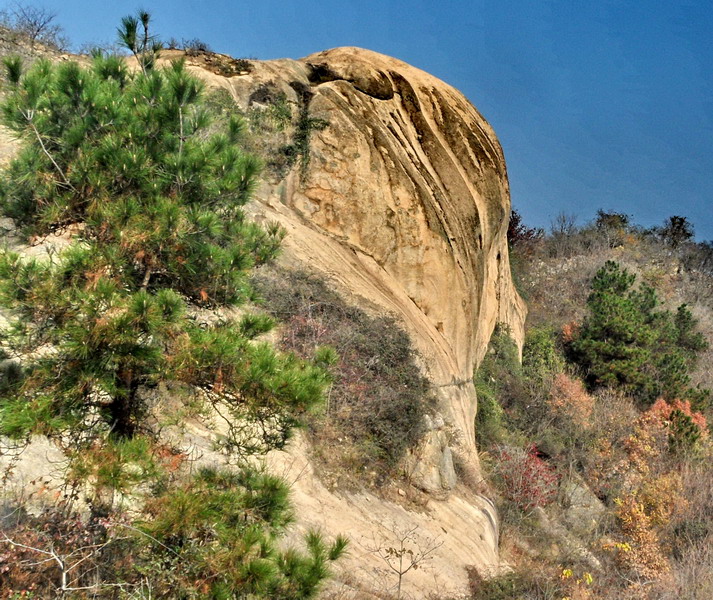 sam_5642_СС.jpg