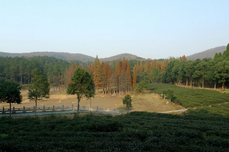 p1050878.jpg