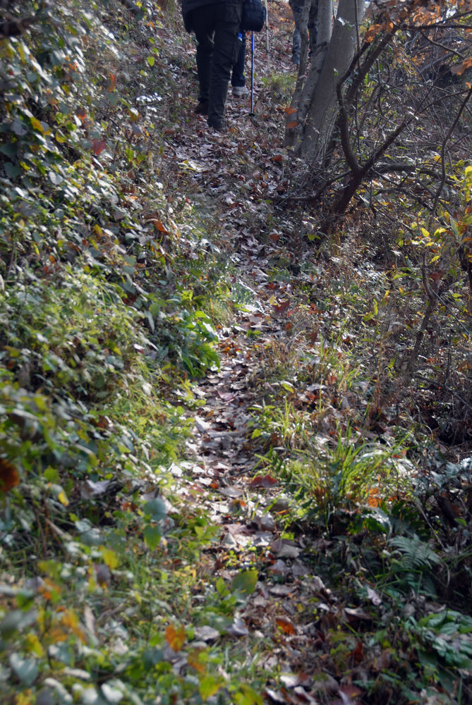 dsc_0015.jpg