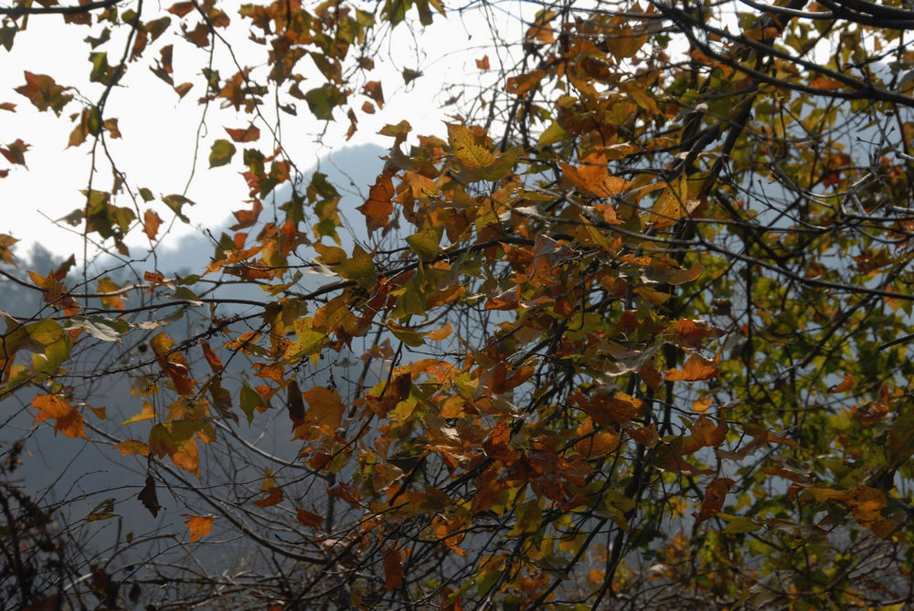 dsc_0024.jpg