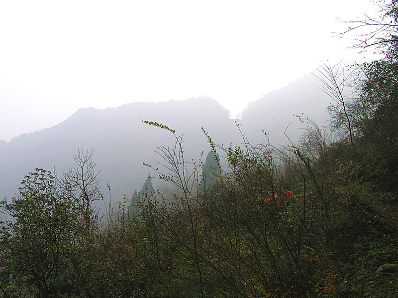 dscn3677_.jpg