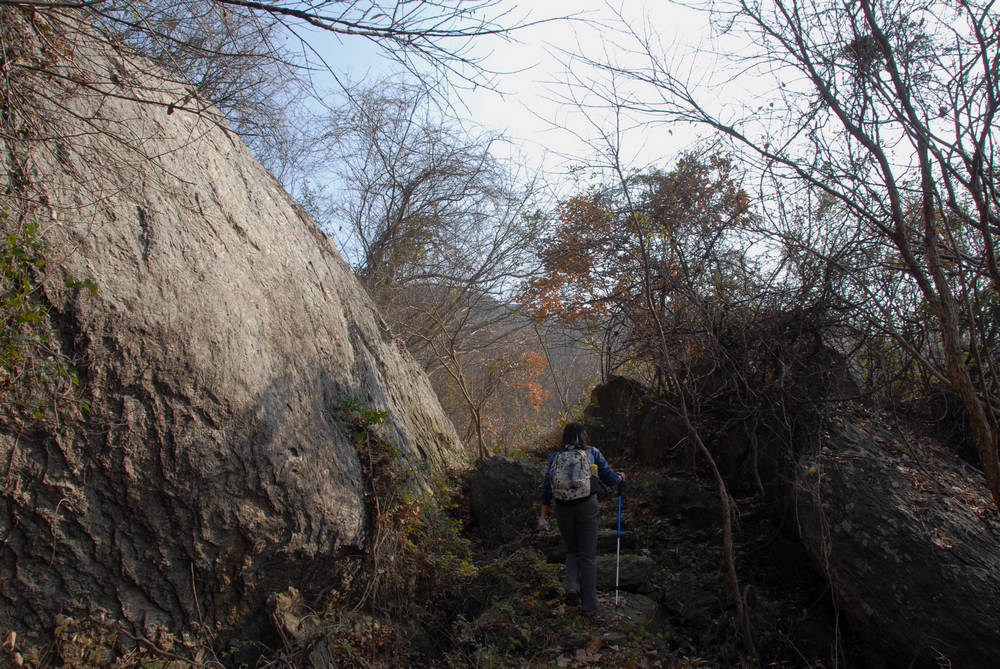 dsc_0030.jpg