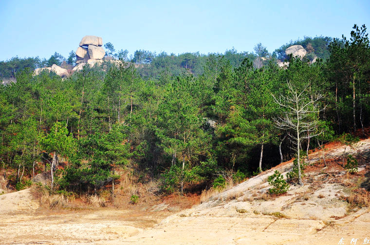 dsc_0066.jpg