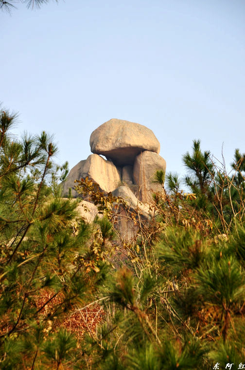dsc_0086.jpg