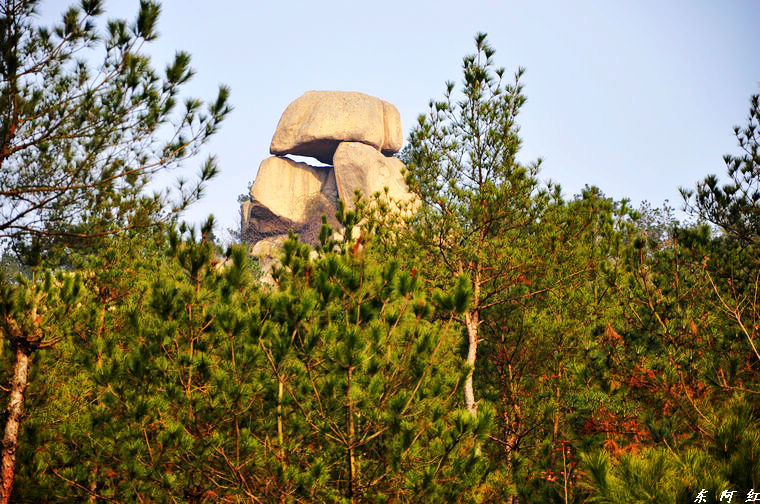 dsc_0093.jpg