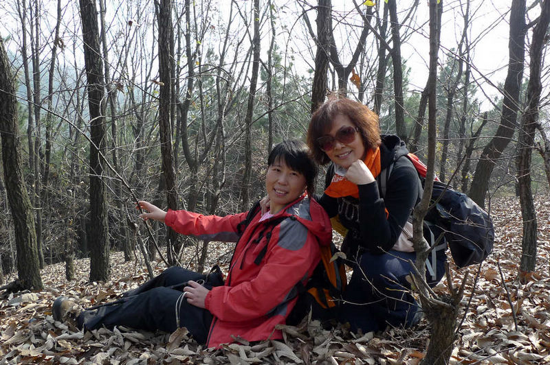 p1050865.jpg