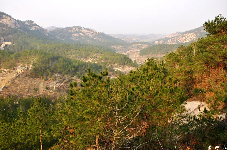 dsc_0117.jpg