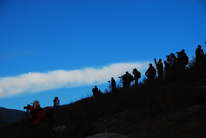 dsc_3933.jpg