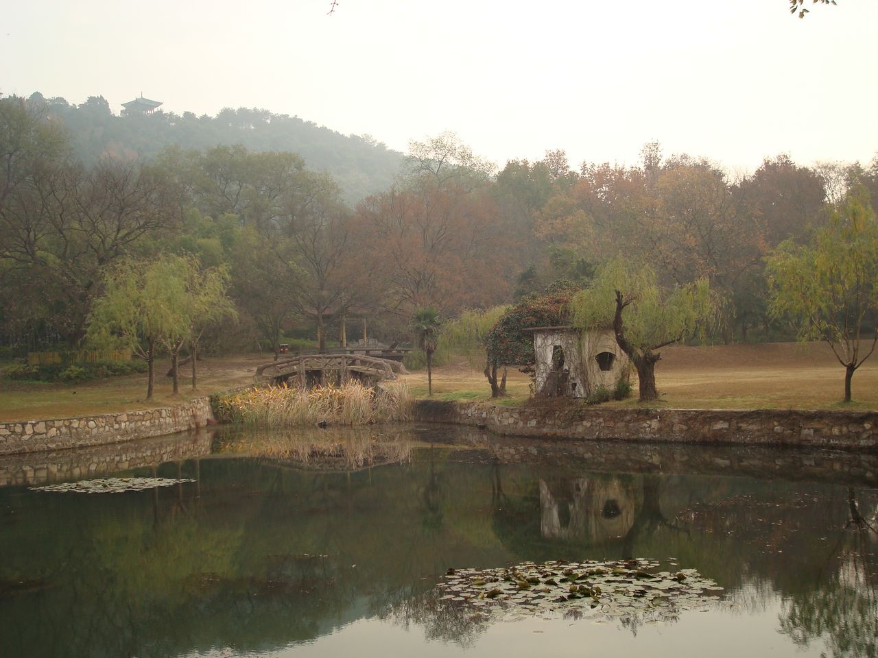 dsc00613.jpg