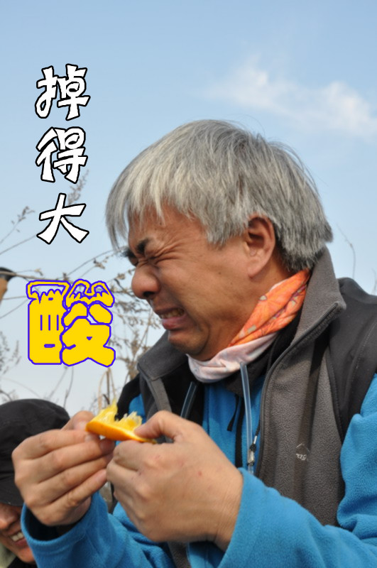201112421144884731_.jpg