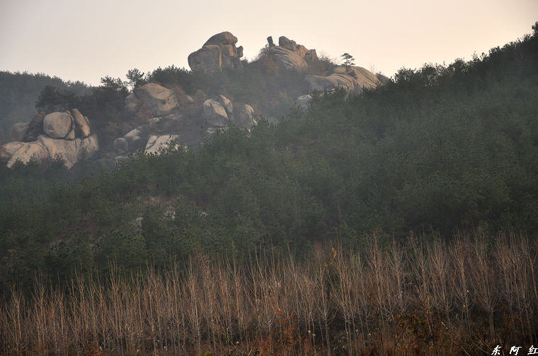 dsc_0147.jpg