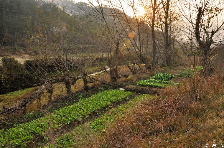 dsc_0177.jpg