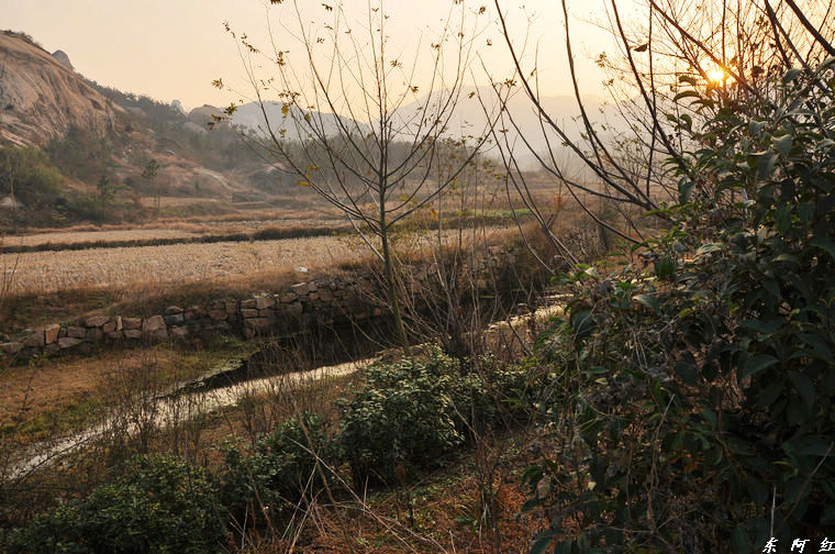 dsc_0180.jpg