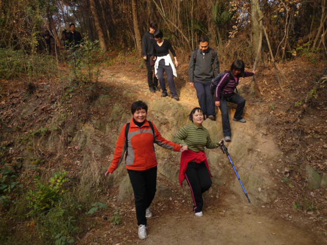 p1050175.jpg
