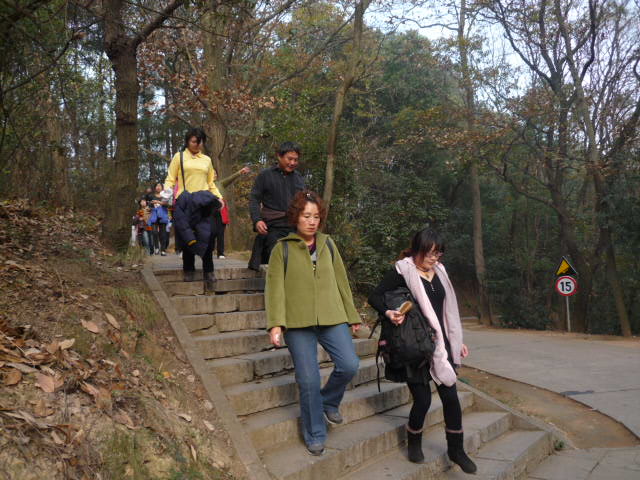 p1050180.jpg