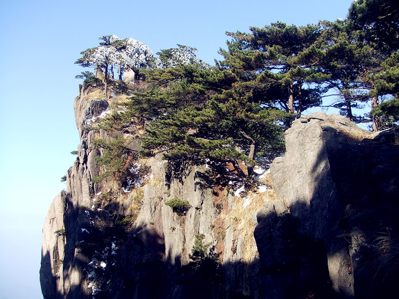 dscf0307_.jpg