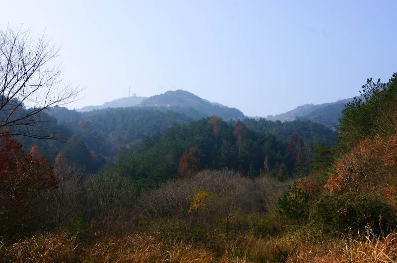 dsc01914.jpg