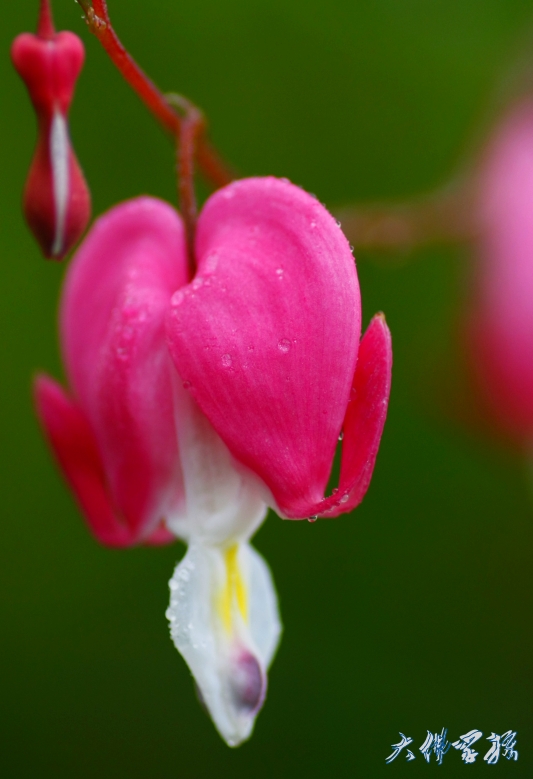 _mg_6265_conew1.jpg