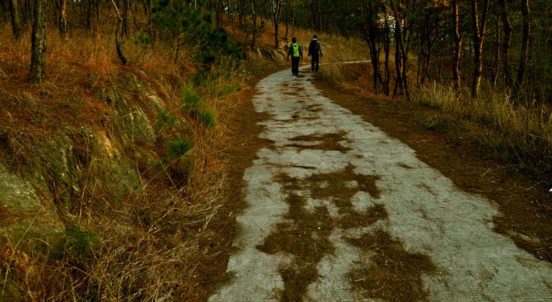 dsc_0233_.jpg
