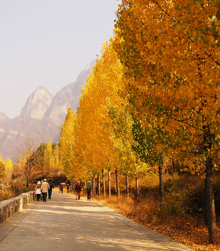 20111020ڷ̫֮ (107).jpg